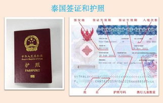 泰国签证怎么办理 