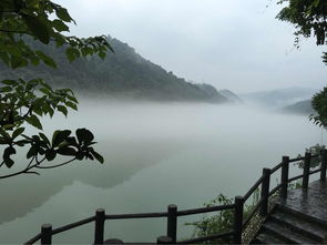东江湖 精品线路1 成人票东江湖风景旅游区景色不错 徒步很适合,只是取票 驴妈妈点评 