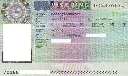 VFS瑞典签证(瑞典签证花多少钱啊)