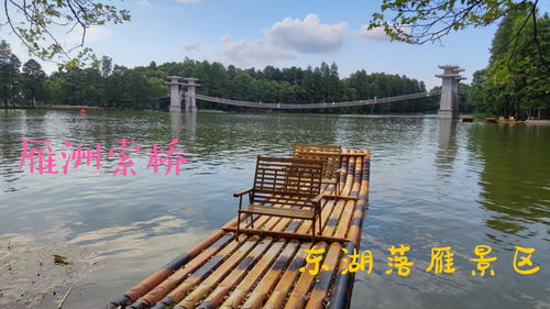 武汉东湖落雁景区,闭园升级改造后重新开园,核心景点依然美丽,休闲的好去处 