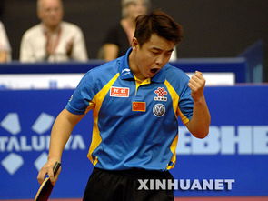 2007年乒乓球男子世界杯决赛 王皓夺冠 
