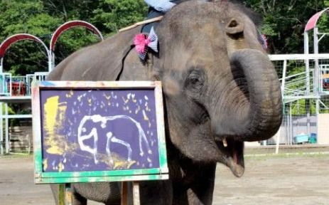 日本大象绘画天赋惊人还会写字 引大批游客围观