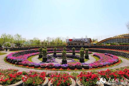 北京世园公园揭牌开放 标志性花卉景观全部恢复