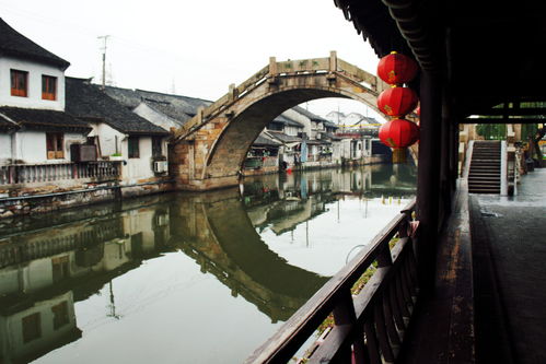 上海水乡古镇,遍植荷花,清雅秀美,是游客最佳旅游地