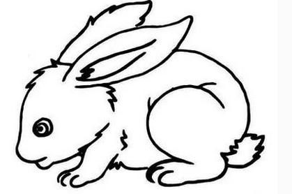 呆萌小兔子儿童画图片 呆萌小兔子儿童绘画图集