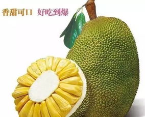 关于菠萝菠萝蜜在线视频大全的信息