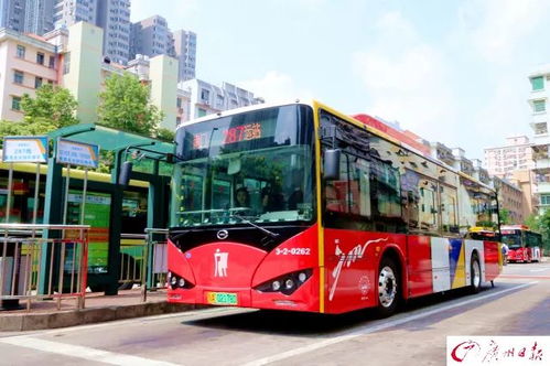 210公交车路线查询(广州210公交车路线查询)