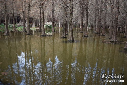捞鱼河湿地踏青 感受水上森林,体会林中漂流 
