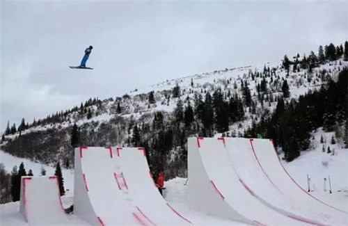 冬奥会自由式滑雪的竞赛项目(冬奥会自由式滑雪的竞赛项目是什么)