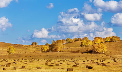 赤峰 乌兰布统草原 