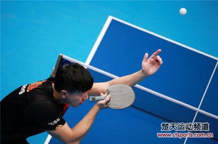 2015年苏州世乒赛男单决赛马龙VS方博的简单介绍