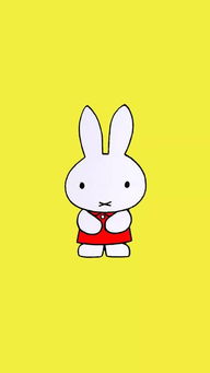 小兔子图片卡9(小兔子图片卡通可爱 手机壁纸)