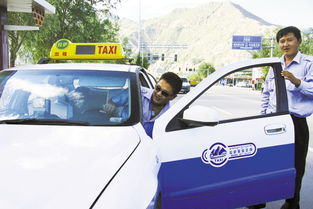 拉萨运输管理分局统一出租车交车时间 