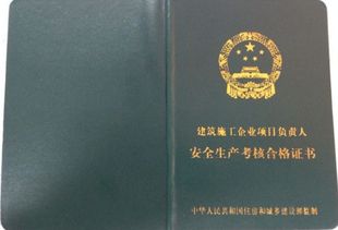 广东安全b证电子证书下载(广东安全员b证查询电子证书)