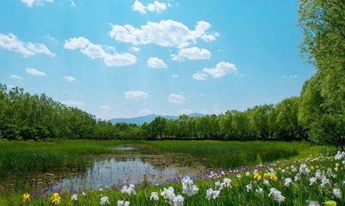 北京这个神秘低调的国家湿地公园,最近已恢复开放,赶快去预约吧