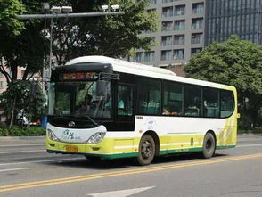 写给深圳341路公交车上的某个女孩 