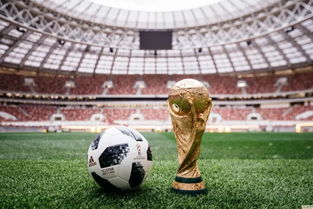 2022世界杯优酷可以看吗(2022世界杯哪里看)