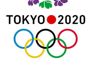 2020东京奥运新增5项目18枚金牌 棒垒各6队参赛 