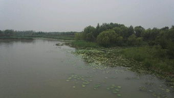 济西国家湿地公园 