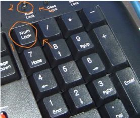 键盘上的英文字母上面的数字为什么打不出来 