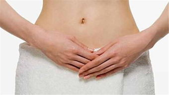 女性腹部内脏分布图正常阴脣(女性腹部内脏器官结构分图布)