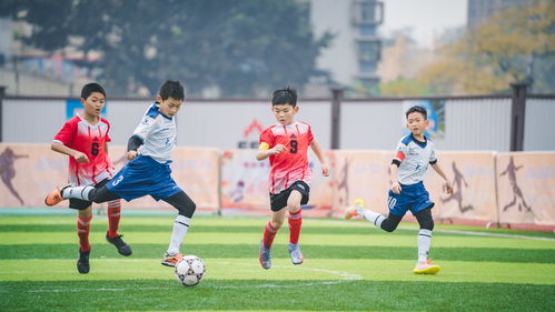 世界足球日 一起回顾重庆2021校园足球联赛的精彩瞬间吧