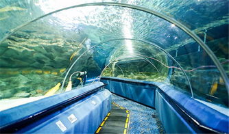 北京富国海底世界景点门票 五星级海洋水族馆