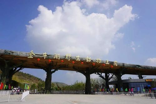 南京最具特色的野生动物园,耗资8亿,自驾游项目国内罕见