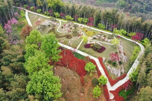 杭州规划建设第二个植物园 今年下半年又有一大批新公园上线