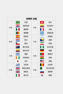 2014年世界杯小组分组2014世界杯全赛程高清(2014年世界杯参赛队)