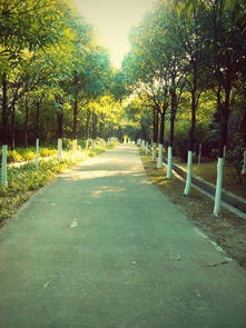 紫马岭公园照片 