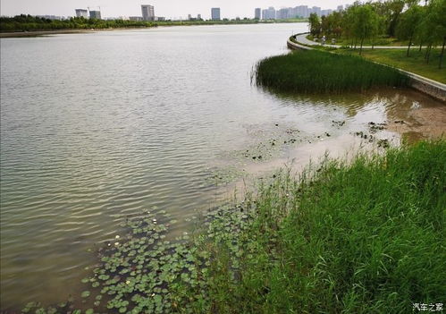郑州象湖湿地公园游玩
