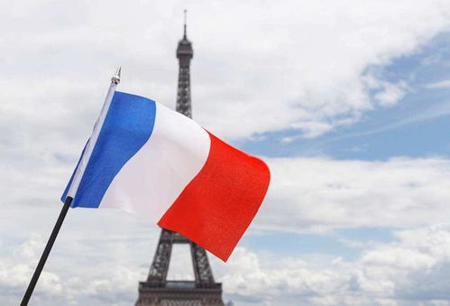 法国曾用白旗当国旗,被别国嘲笑 怪不得老打败仗