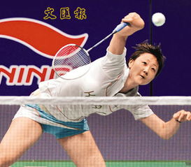 香港羽毛球手周蜜晋级大师赛决赛 与王琳争桂冠 
