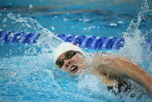 里约奥运会中国游泳队告诉我们,江浙沪为什么 包邮