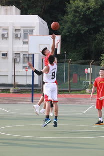 中国男篮探访慰问驻港部队官兵图片 篮球图片 猫扑体育吧 