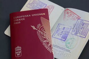签证去瑞典需要多久(去瑞典的签证)