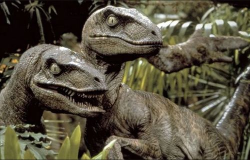 迅猛龙, 侏罗纪公园 系列电影中最为经典的角色