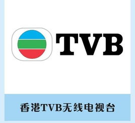 重口味泰剧与TVB剧 中国网文
