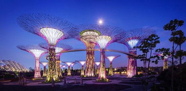 新加坡必游的景点(新加坡有哪些旅游景点值得推荐?)