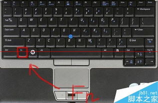 戴尔D430笔记本怎么使用键盘调节音量 硬件教程 