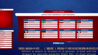 2014年世界杯分组情况(2014世界杯分组结果)