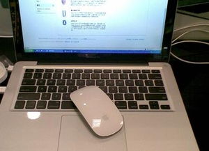苹果MacBook Pro 电脑 WIN7系统 用的是蓝牙的无线鼠标,之前都能用,有事出差一周回来后鼠标就没反应了 