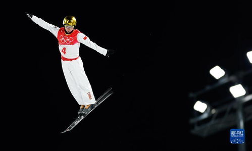 自由式滑雪男子空中技巧决赛 中国选手齐广璞夺冠