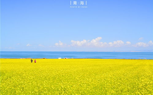 大美青海,中国最美的夏天在这里