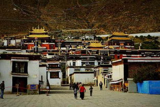 圣地西藏十三日游 