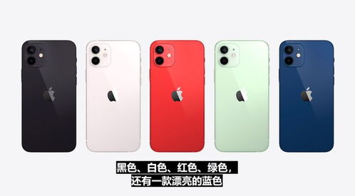 苹果12正式发布 五种颜色 外形回归4s经典款售价仅6799