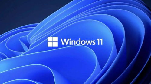 Windows 11发布 UI 大变化,网友 果 味十足