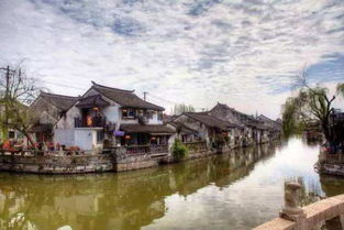 中国美院与进化镇联手打造美丽乡村 