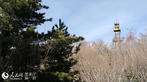 阿城吊水壶国家森林公园视频(阿城吊水湖好玩吗)
